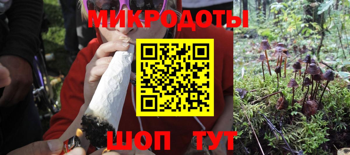Коряжма  Галлюциногенные грибы Psilocybine cubensis  Вход с VPN  Псилоцибиновые грибы GOLDEN TEACHER 