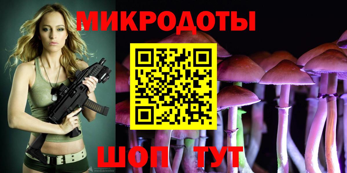 Галлюциногенные грибы Psilocybine cubensis Коряжма